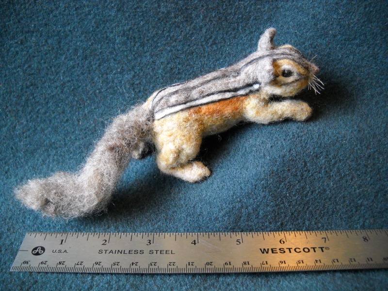 Chipmunk 16