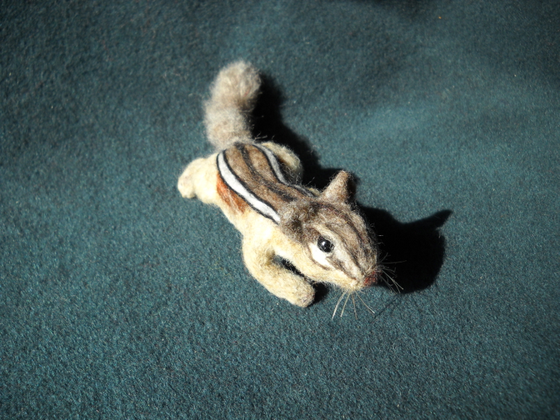 Chipmunk 17