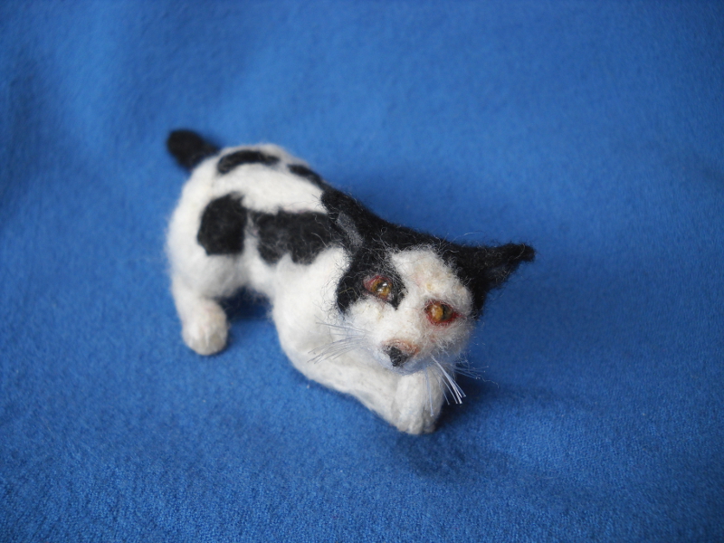 White and Black Cat
