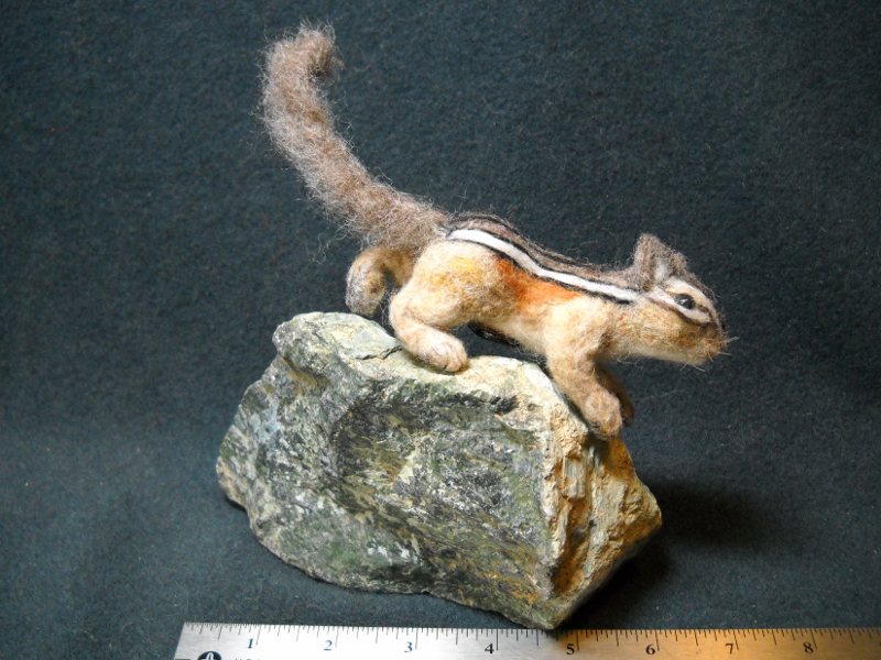 Chipmunk 18