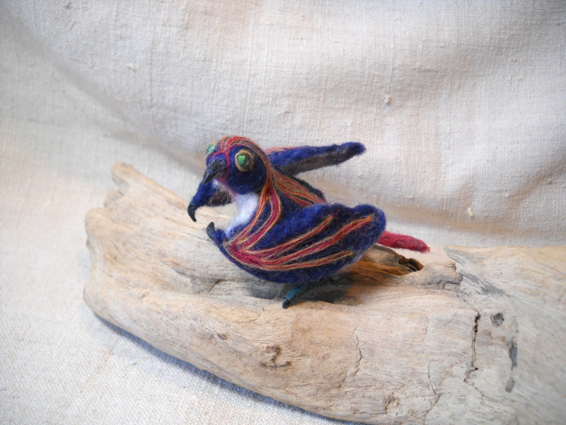 Black-beaked Magnet Lizird