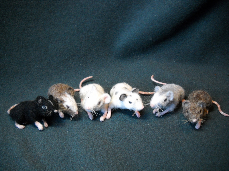 Mouse Litter 16 – The Left-Handed Mice