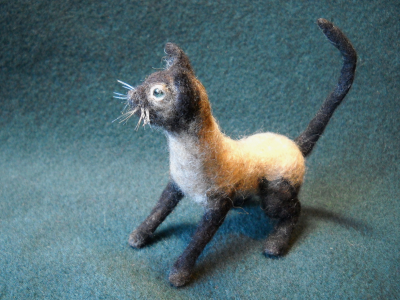 Clipper Kitty