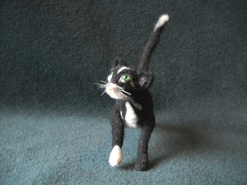 Clipper Kitty 2