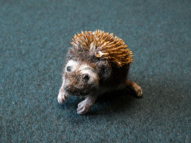 Hedgehog 1