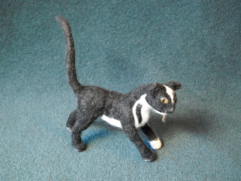Clipper Kitty 3