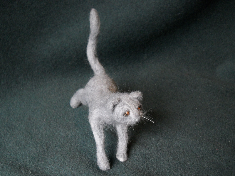 Clipper Kitty 4 –  Lady Gray