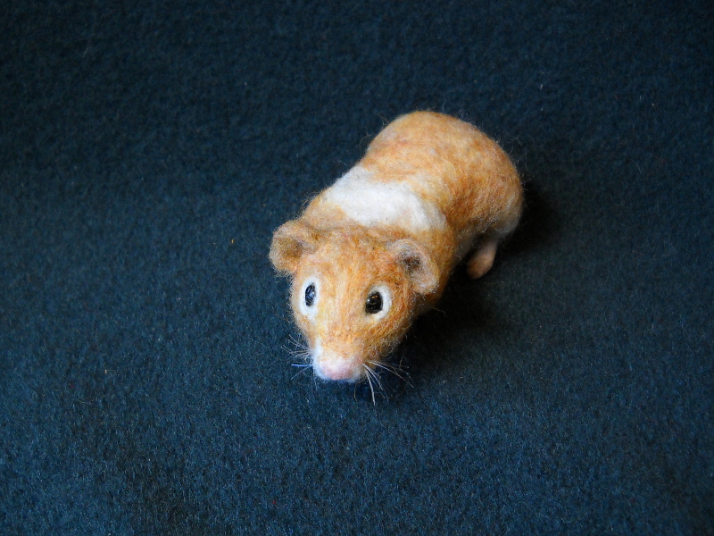 Goldilocks Hamster