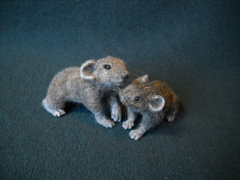 Pair of Pikas