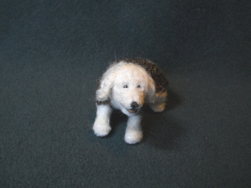 Sheep Dog