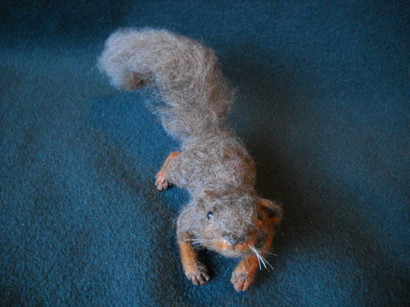Fox Squirrel 3