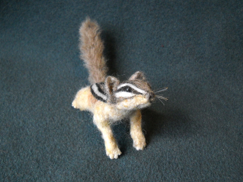 Chipmunk 21