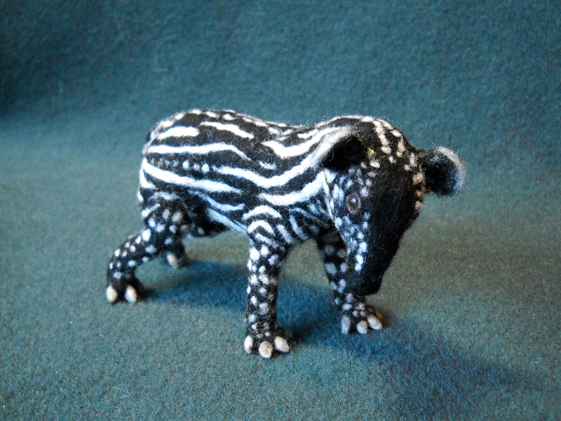Malayan Tapir Calf