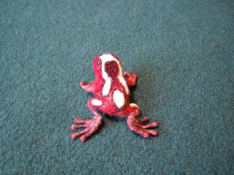 Clown Frog 3