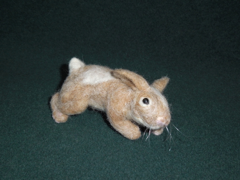 Fuzzy Bunny