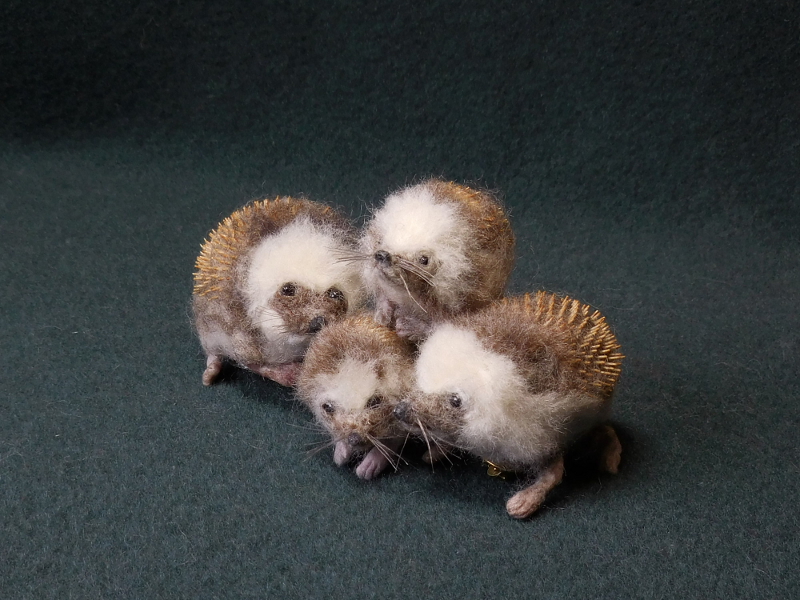 Hedgehogs 4