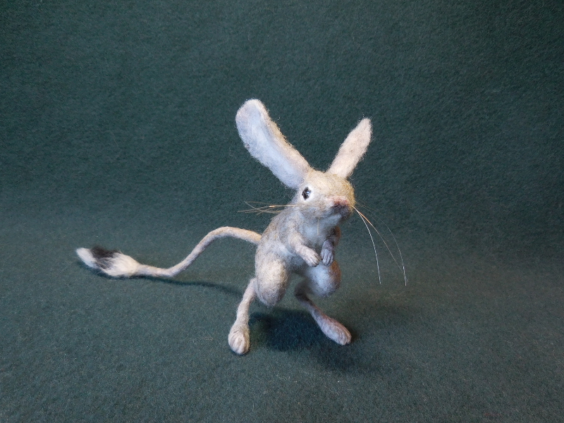 Long-eared Jerboa