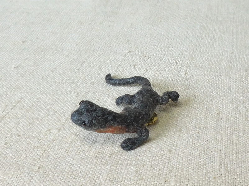 Red-cheeked Salamander