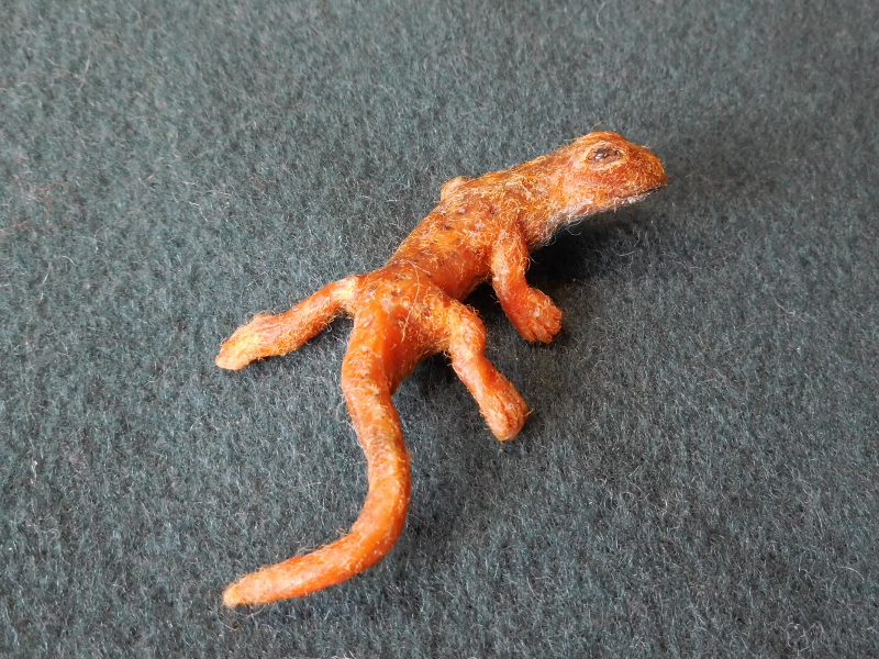 Orange Salamander