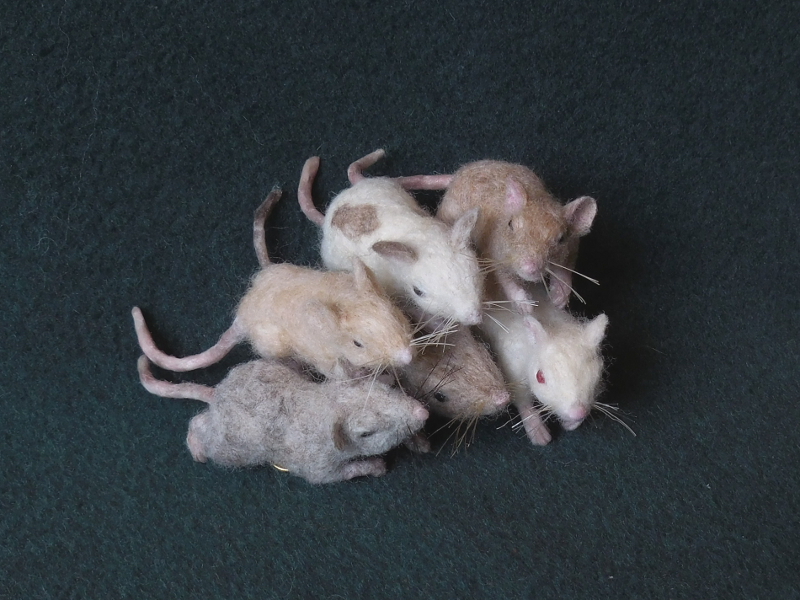 Mouse Litter 20 – The Mini Mousies