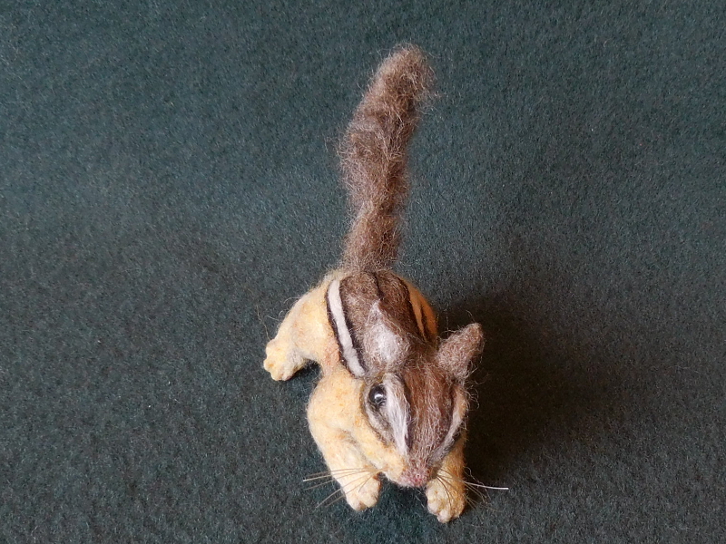 Chipmunk 22
