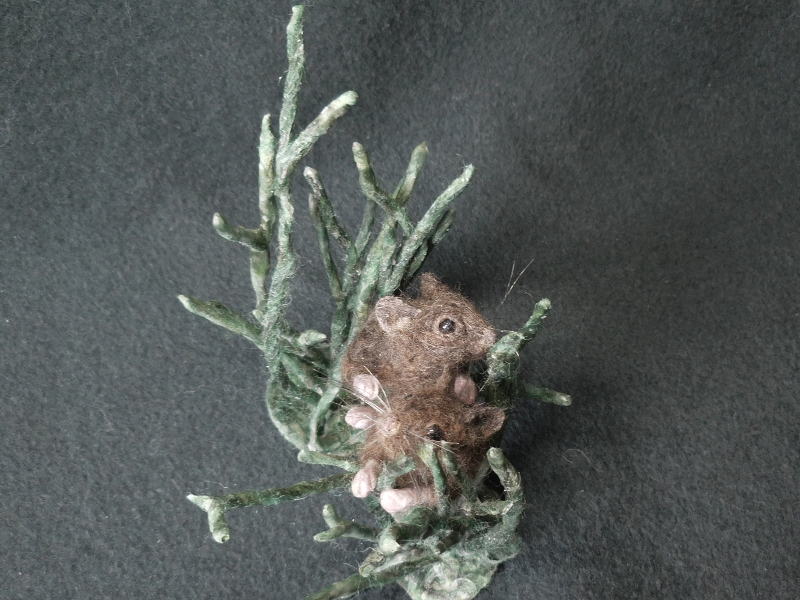 Salt Marsh Harvest Mice