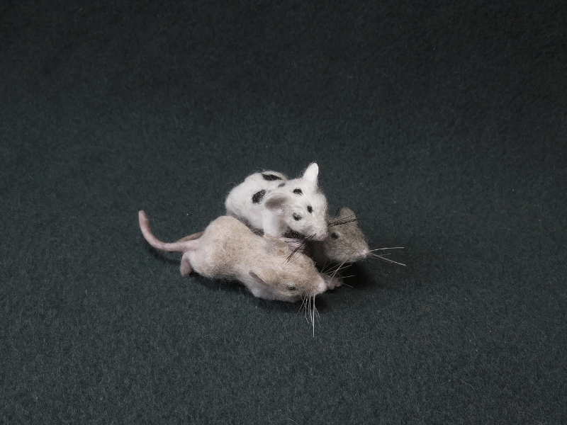Walkabout Mini-Mousies