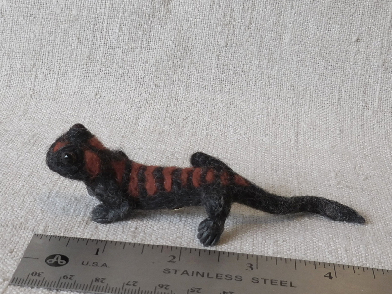 Black and Red Salamander