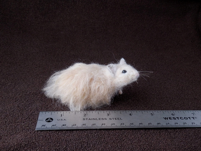 Teddy Bear Hamster