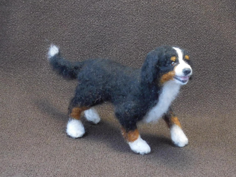 Bernese Mountain Dog