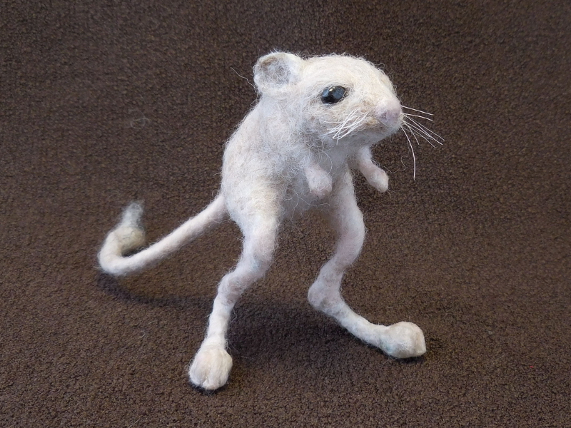 Lesser Jerboa