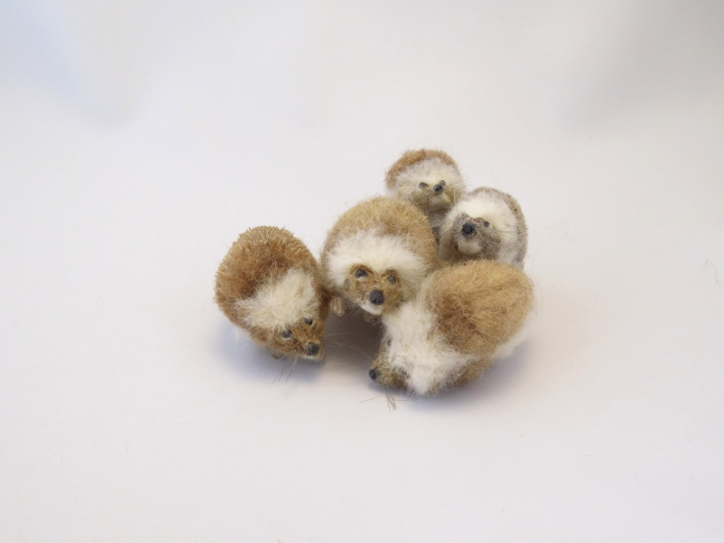 Hedgehogs Again