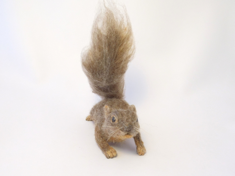Fox Squirrel 4