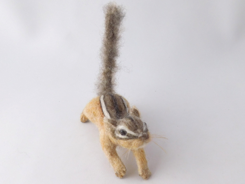 Chipmunk 23