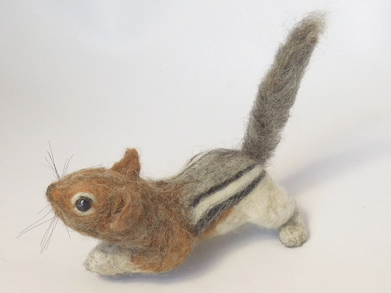Golden-mantled Ground Squirrel 2