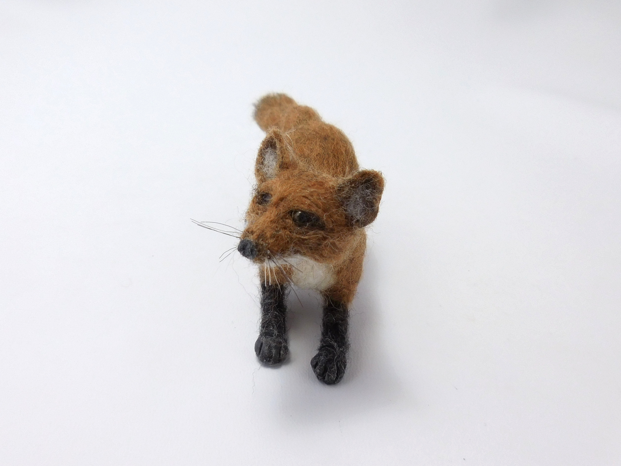 Young Vixen