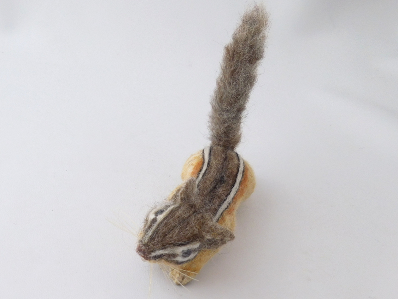 Chipmunk 25