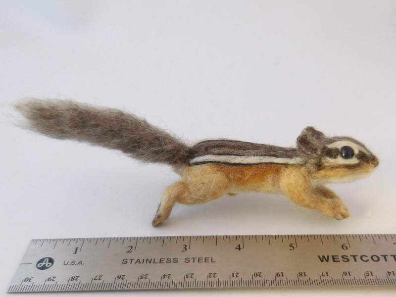 Chipmunk 26