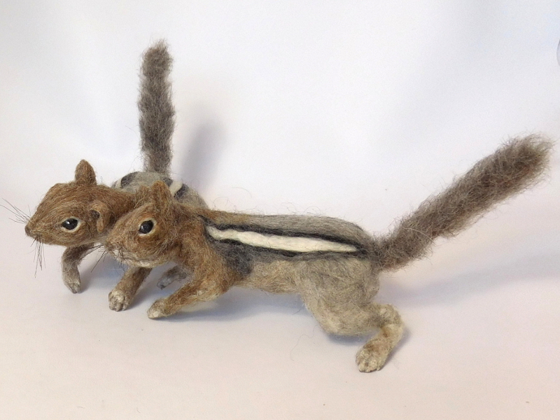Golden-mantled Ground Squirrels 3 & 4