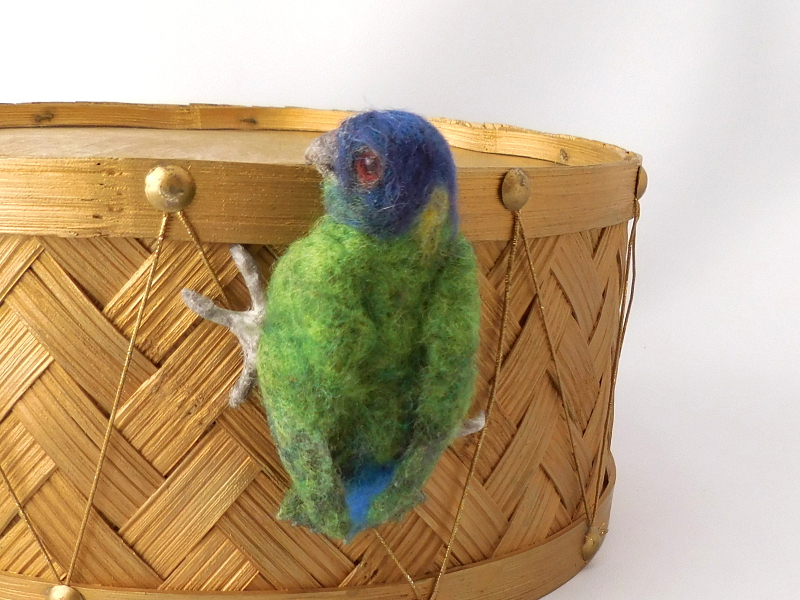 Geelvink Pygmy Parrot