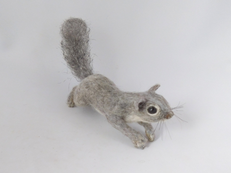 Gray Squirrel – Silktail 1