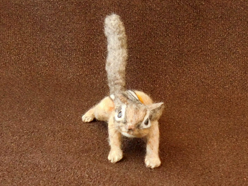 Chipmunk 27: “Miss Chips”