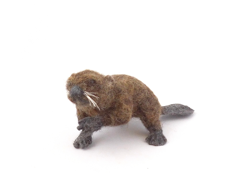 Beaver 2