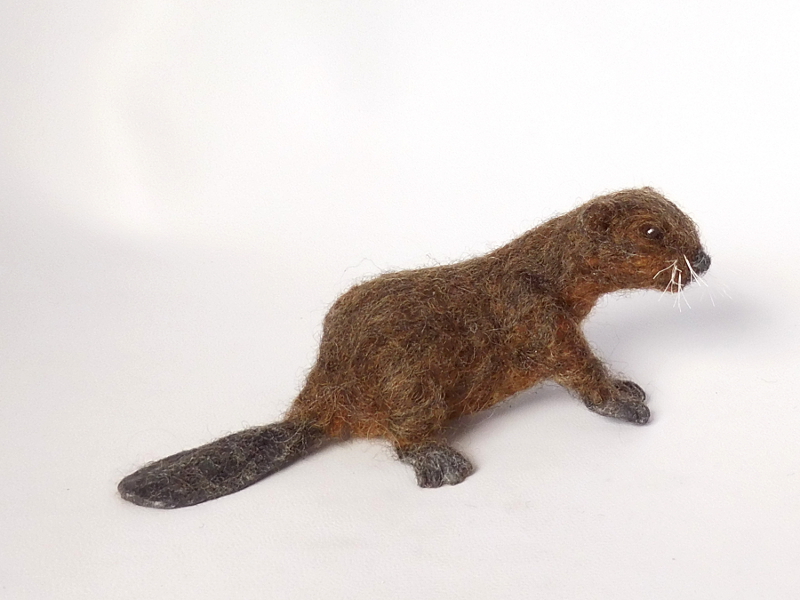 Beaver 3 – Springtail