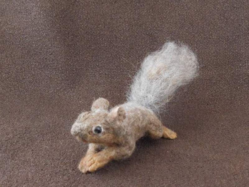 Baby Fox Squirrel 3