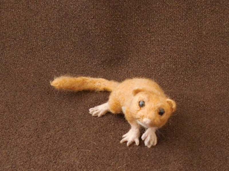 Hazel Dormouse