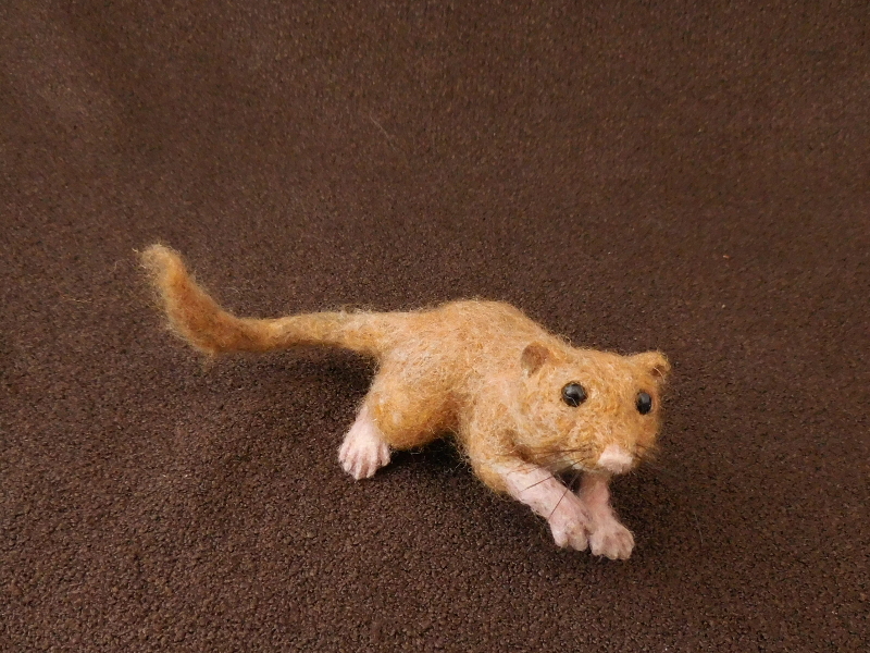 Hazel Dormouse 2