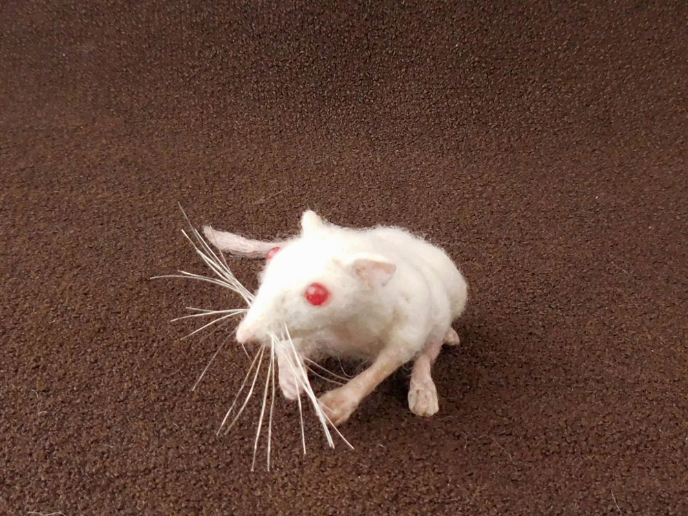 Hexapod Mouse
