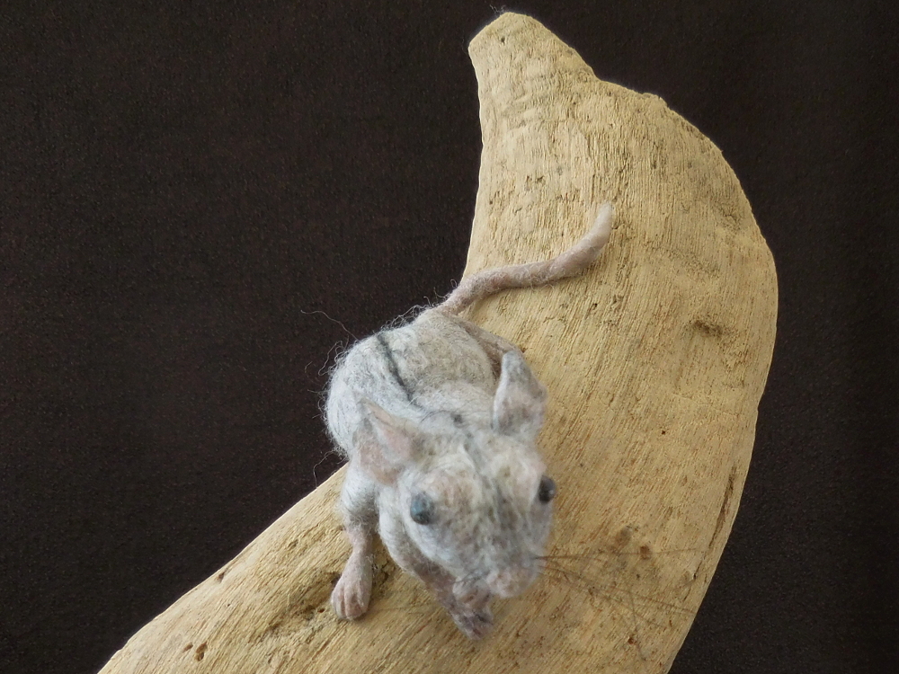 Hexapod Mouse 2