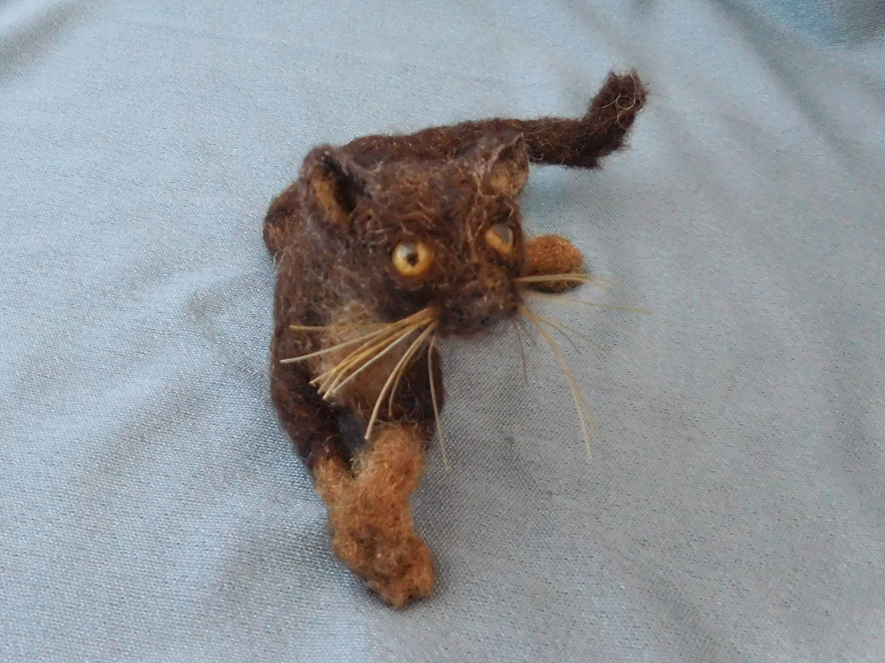 Burmese Cat